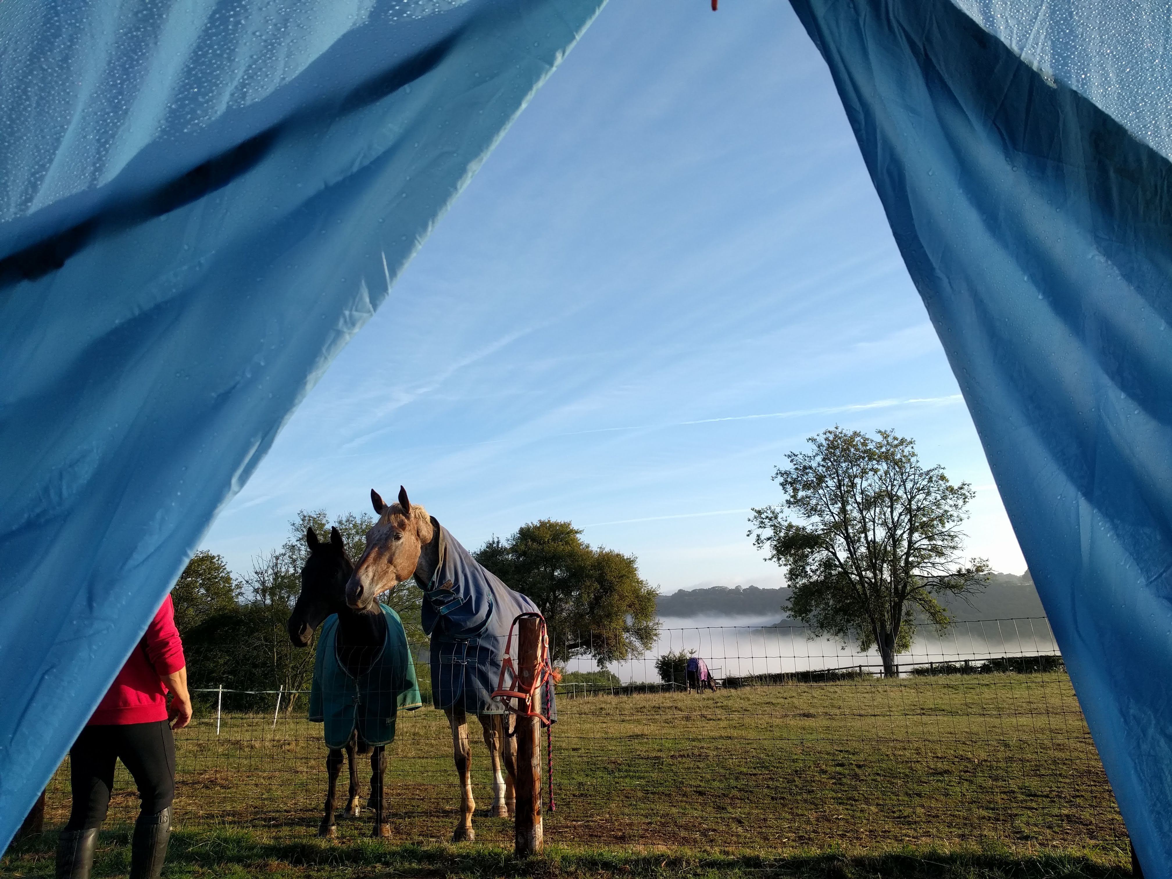 Camping 1